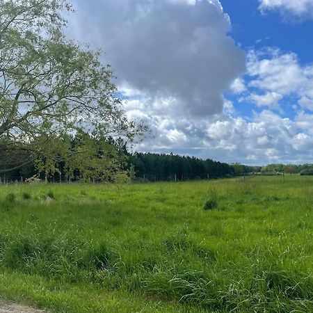 Gite Le Village Des Champs Soings-en-Sologne Экстерьер фото