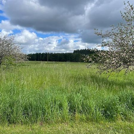Gite Le Village Des Champs Soings-en-Sologne Экстерьер фото